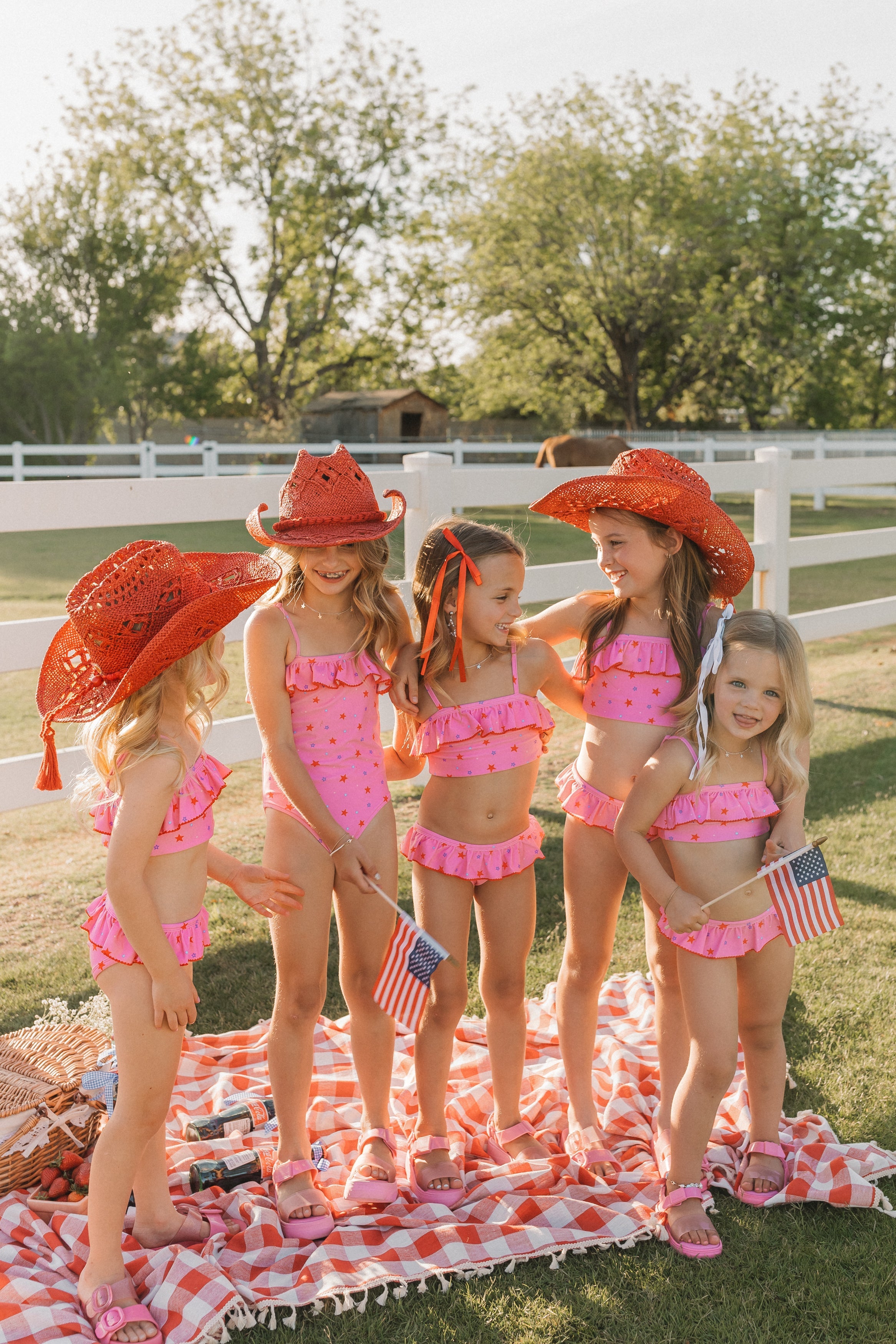 Pink and Patriotic Bikini