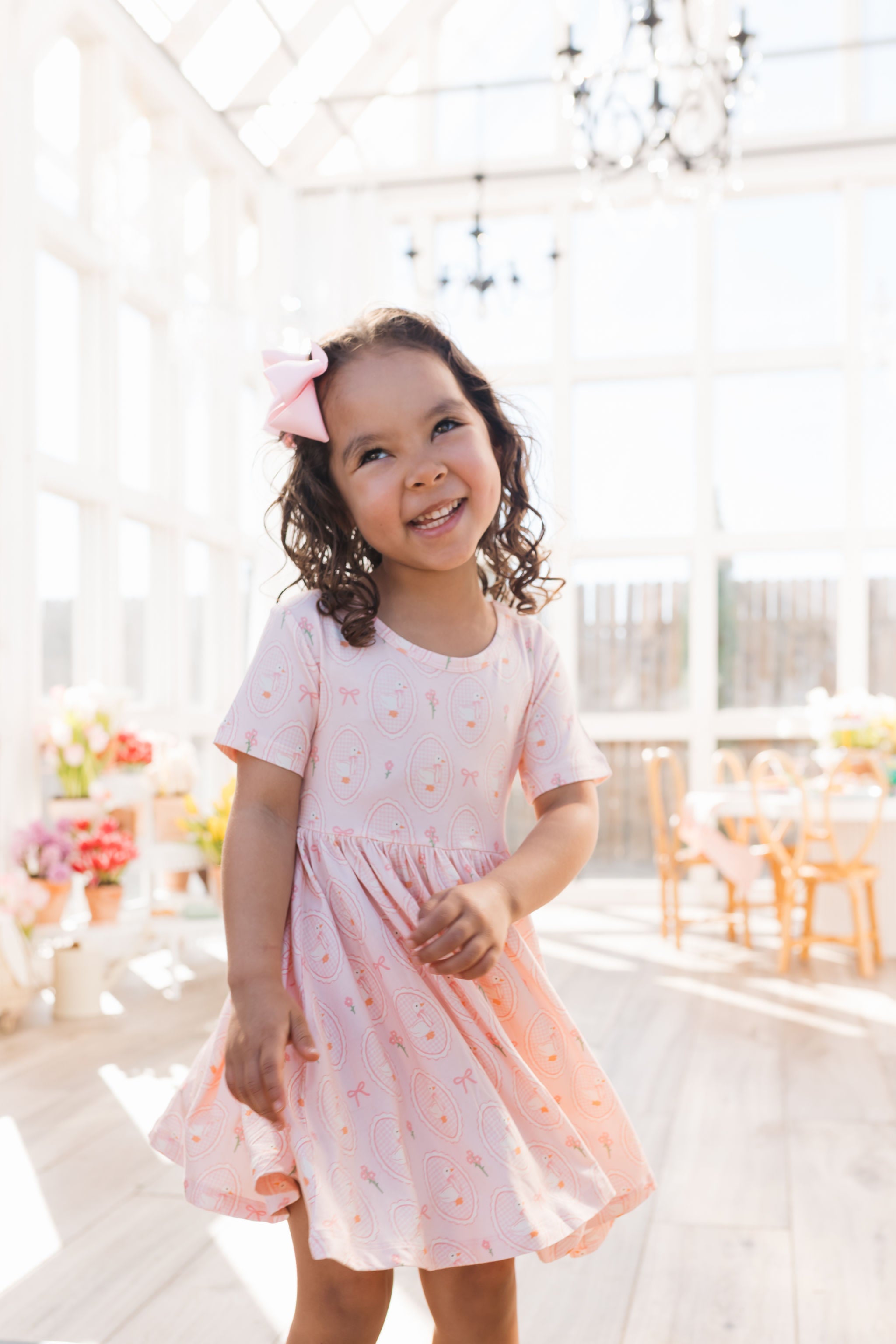 Pink Little Goose Short Sleeve Twirl Dress