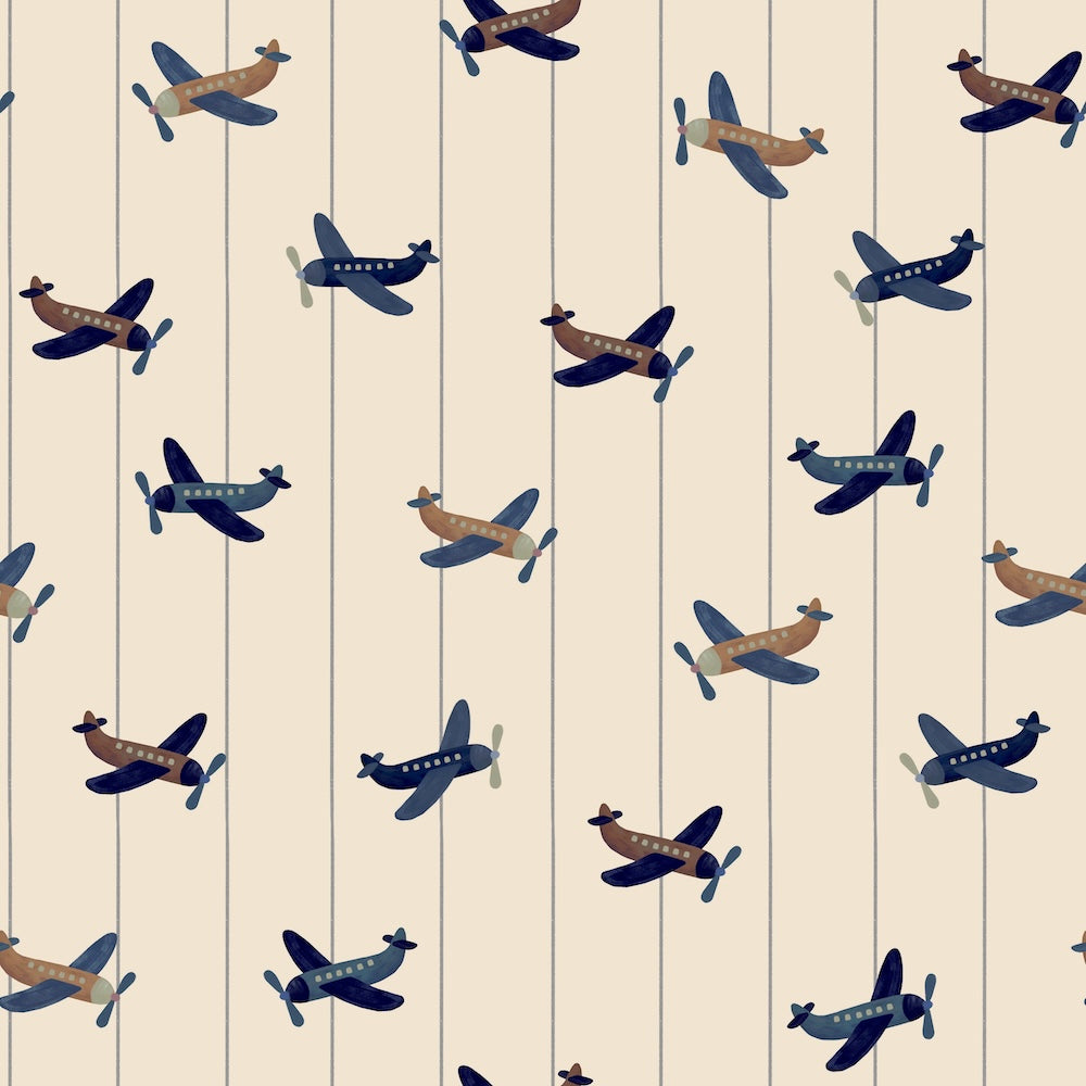 Airplane.jpg