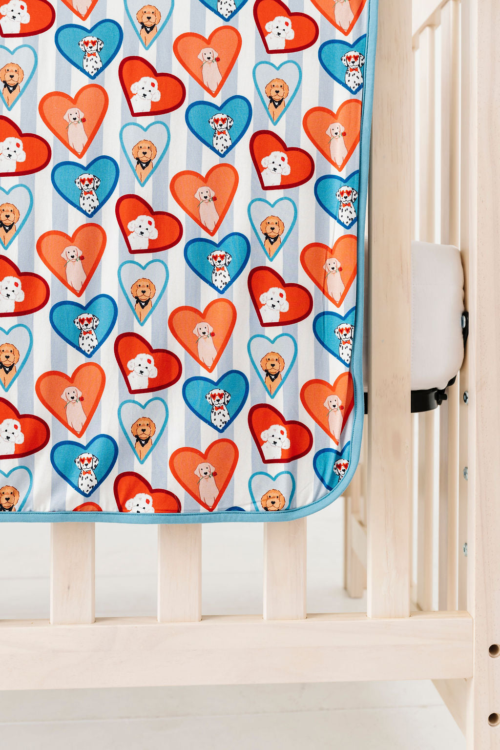 Blue Fur-Ever Valentine Blanket