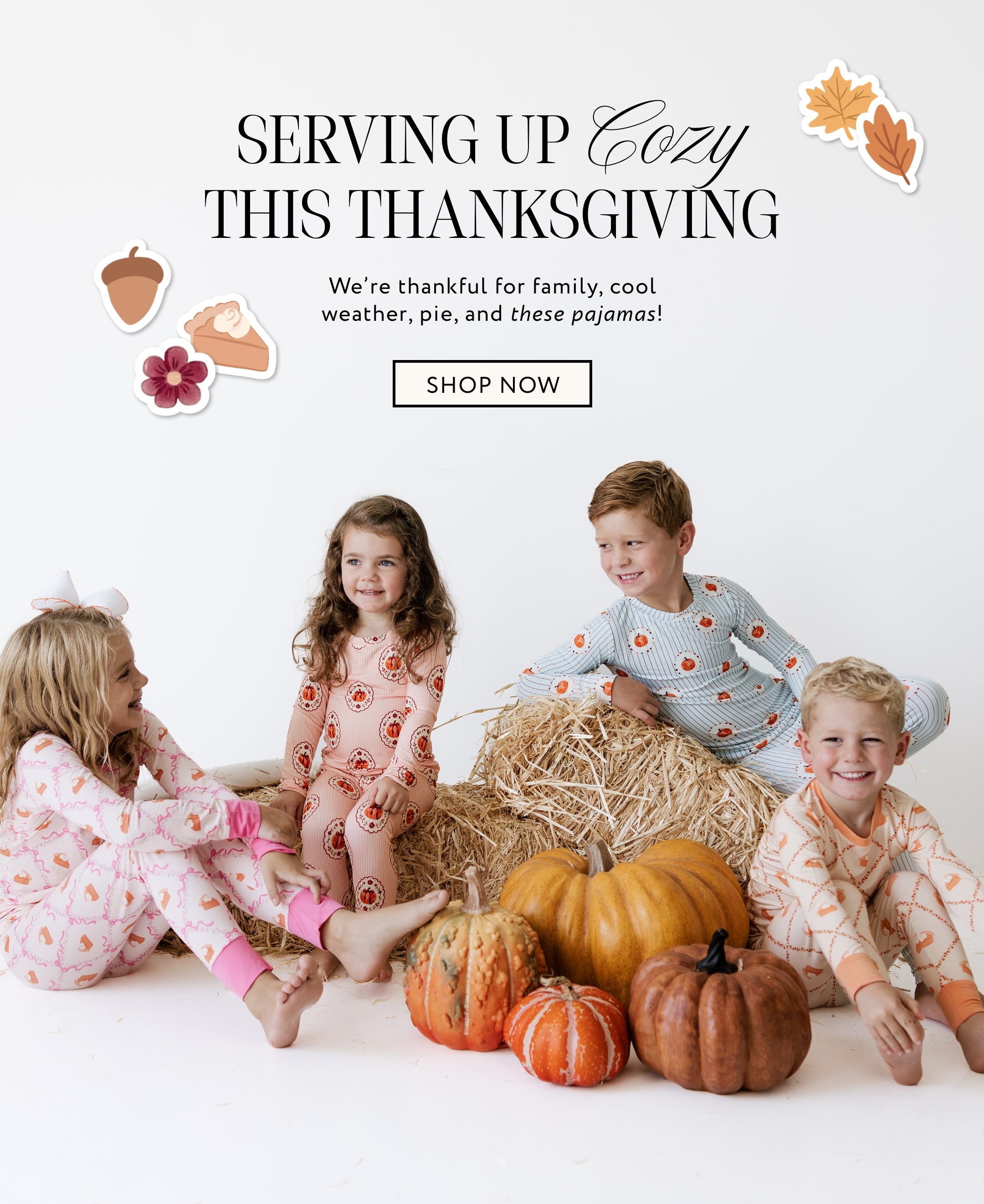 COMBanners-Thanksgiving-Mobile_2x_fc174abf-89a6-4e5a-9b9a-77c318971288.jpg