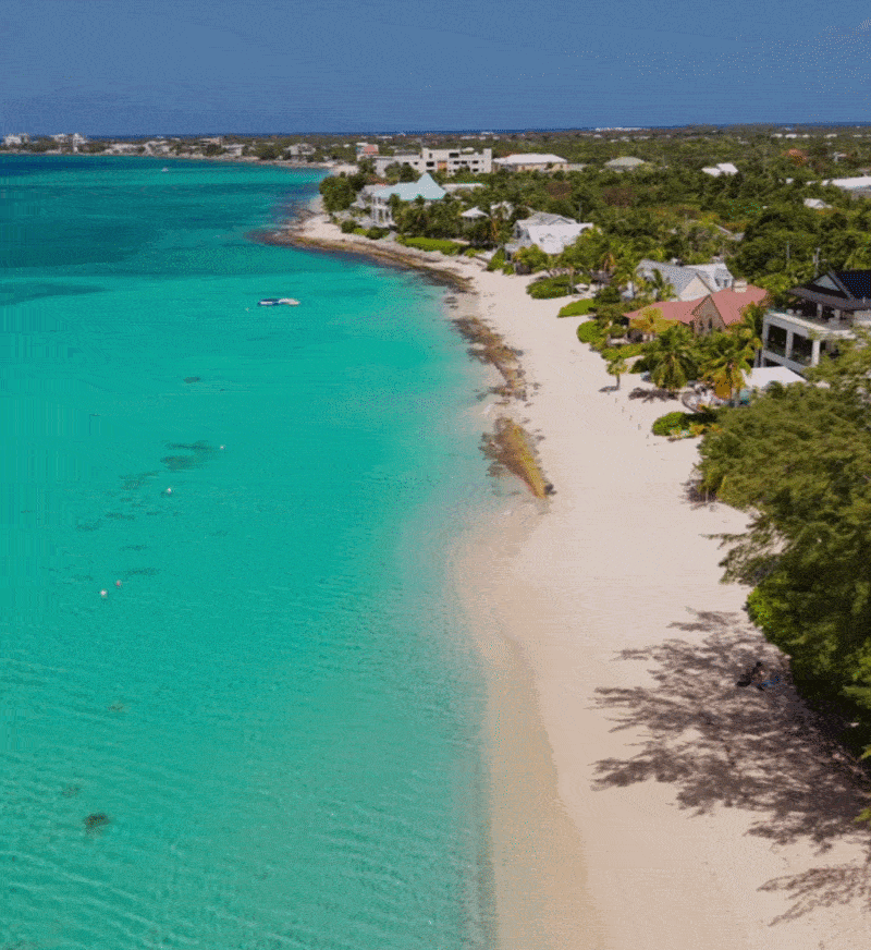 Caymans_GIF.gif