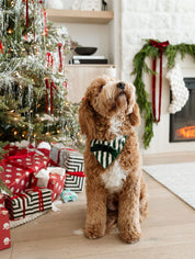 Green Stripe Dog Bandana