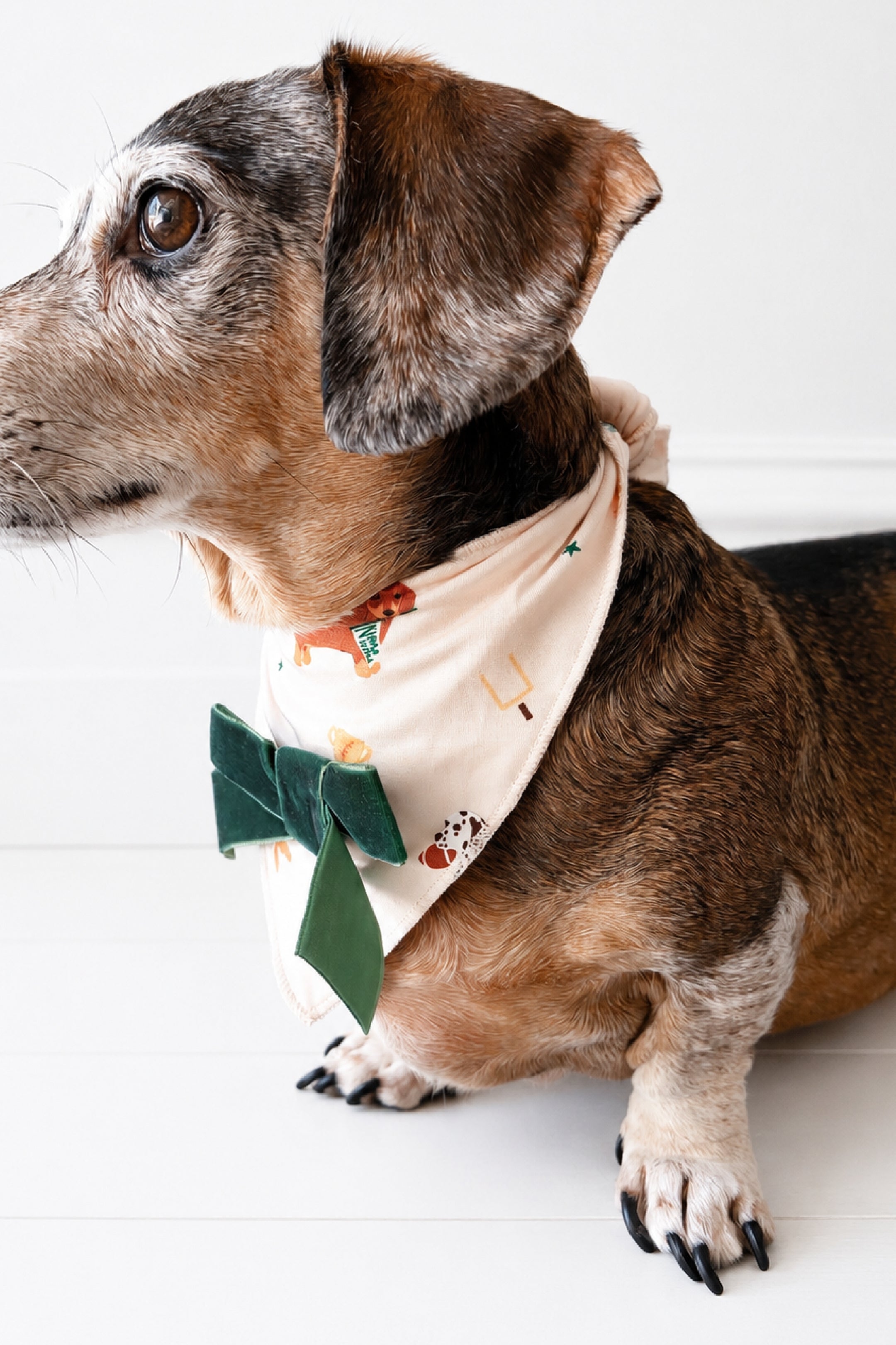 Varsity Pups Dog Bandana
