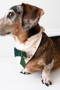 Varsity Pups Dog Bandana