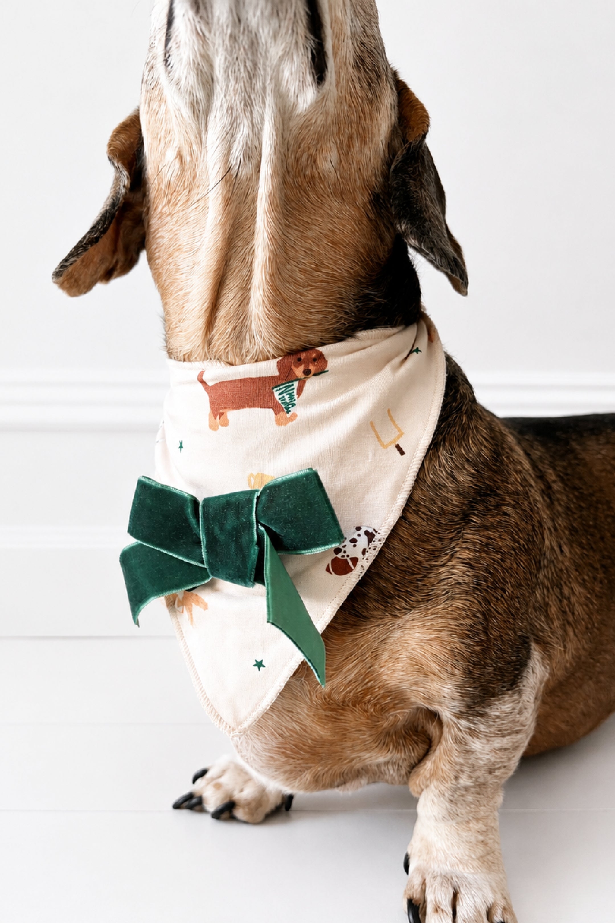 Varsity Pups Dog Bandana