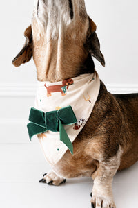 Varsity Pups Dog Bandana