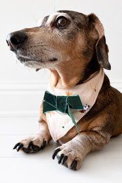 Varsity Pups Dog Bandana