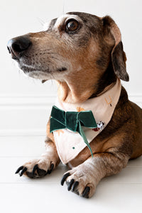 Varsity Pups Dog Bandana